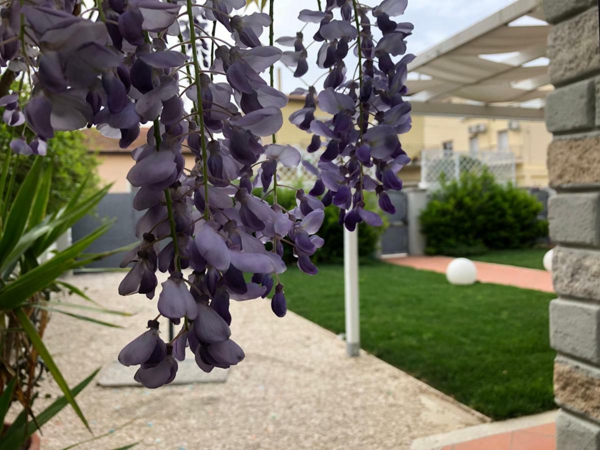 City Garden Guest House Olbia Buitenkant foto